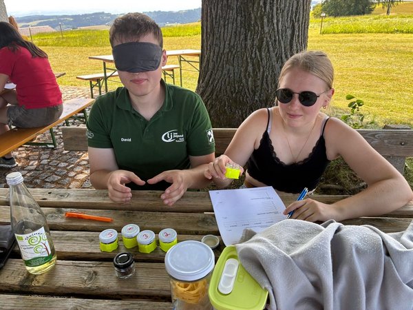 BEZIRKSMÄHEN UND AUGO